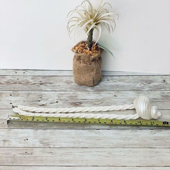 Gorgeous Ivory white off Pearl Natural Seashell Sea  Shell 12” Drop Necklace - Picture 10 of 12